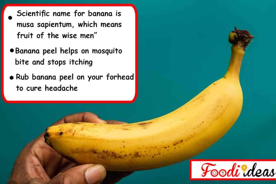 interesting facts about bananas