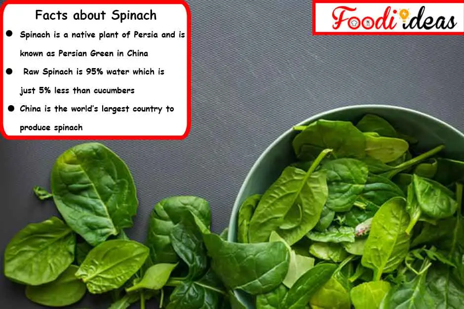 fun facts about spinach