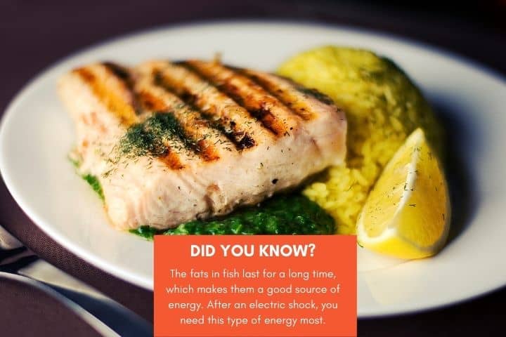 eating fish helps in healing after an electric shock