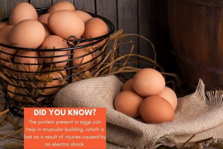 eggs help in healing after an electric shock
